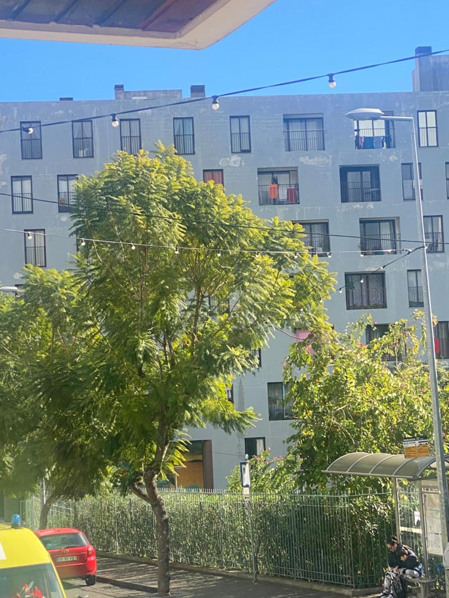 Funchal Varzea Park Apartment Exterior foto